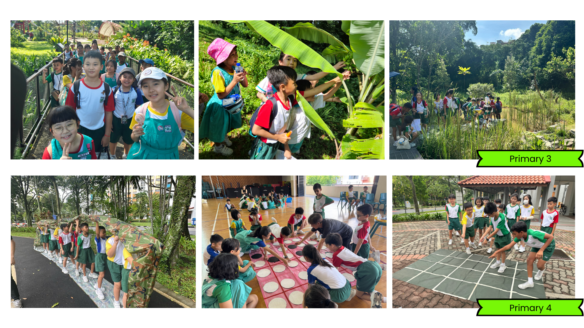 Primary 3, three photos depict outdoor nature field trips. On the left, a long line of students smiles while walking across a wooden bridge in a park. In the middle, children wearing sun hats look closely at large green banana leaves. On the right, students gather along a wooden boardwalk overlooking a lush, sunlit wetland pond. Primary 4, three photos highlight outdoor and indoor team challenges. On the left, a group of students lines up tightly behind a camouflage-patterned screen. In the middle, students sit cross-legged in a circle on a patterned indoor floor mat for a group activity. On the right, students jump together over a grid drawn on outdoor brick paving.